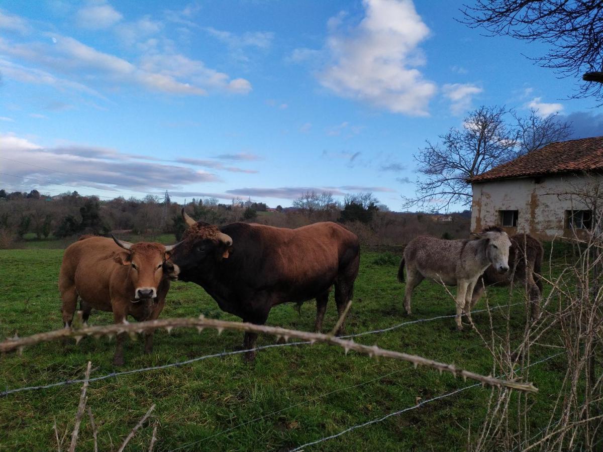 Casa Pepín - Sagasta Rural Oviedo Casa de hóspedes Exterior foto
